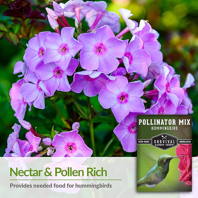 Hummingbird Pollinator Mix Wildflower Seed for Planting - Packet with Instructions to Plant and Grow Flowering Plants in Your Home Vegetable Garden - Non-GMO Heirloom Varieties - Survival Garden Seeds
