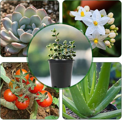 HOSTIC 6.3 Gallon Flexible Nursery Pots Gallon Pot with Drainage Holes Plastic Plant Large Container Suitable for Indoor Outdoor Vegetables Flowers Plants 10 PCS