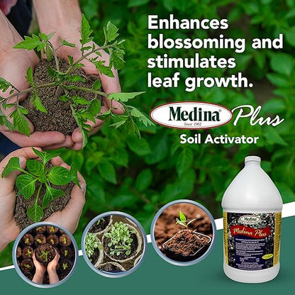 Medina Plus Soil Activator - Liquid Soil Loosener for Lawns & Gardens - Micronutrient-Rich Soil Conditioner & Softener - Used with House Plant Fertilizer, Liquid Plant Food for Houseplants - 1 Gal
