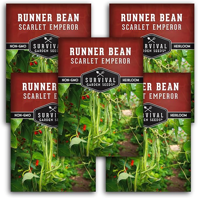 Survival Garden Seeds Scarlet Emperor Runner Bean Seeds for Planting - 5 Packets with Instructions to Plant & Grow Red Multiflora Beans in Your Home Vegetable Garden - Non-GMO Heirloom Variety