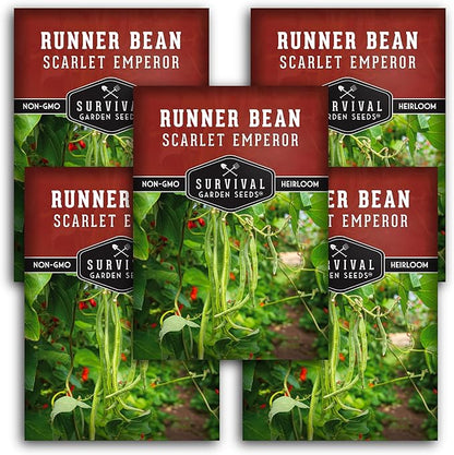 Survival Garden Seeds Scarlet Emperor Runner Bean Seeds for Planting - 5 Packets with Instructions to Plant & Grow Red Multiflora Beans in Your Home Vegetable Garden - Non-GMO Heirloom Variety