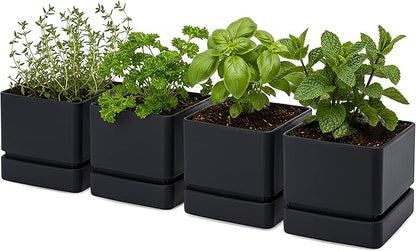 D'vine Dev 6 Inch Herb Planter Pot, Plastic Planter with Drainage Holes and Saucer, Modern Decorative Gardening Pot for Indoor Plants, Flowers, Herbs, Succulents, Black, Set of 4, 76-Y-B4-2