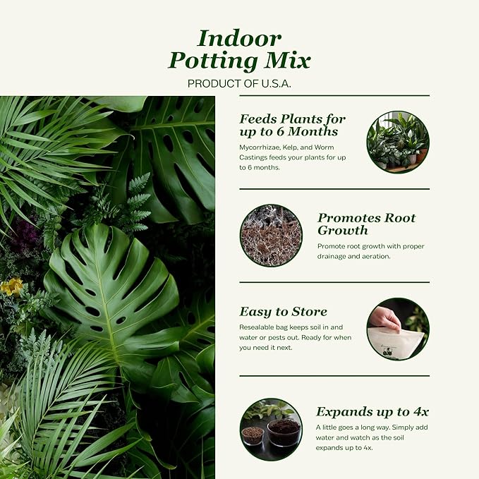 Daniel’s Plants Indoor Potting Soil – Enriched with Kelp, Worm Castings & Microorganisms for Healthy Growth, Aeration & Moisture Control (10-Quart)