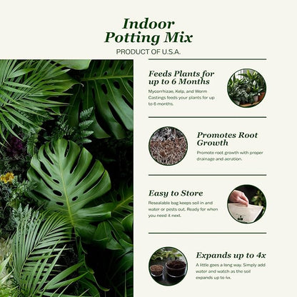 Daniel’s Plants Indoor Potting Soil – Enriched with Kelp, Worm Castings & Microorganisms for Healthy Growth, Aeration & Moisture Control (10-Quart)