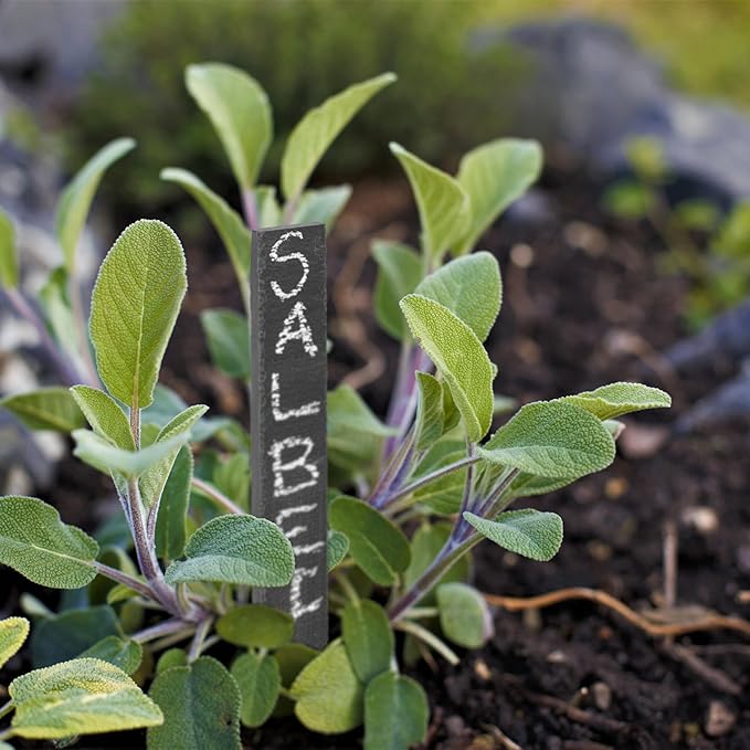 Relaxdays Plant Stakes, Set of 10, Garden & Herb Bed, Plant Signs for Labelling, 20 x 3 cm, Slate, Anthracite
