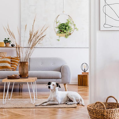 Hanging Planters for Indoor Plants - Plant Hanger Outdoor, Metal Plant Hanger Mid Century Boho Macrame, Hanging Wall Ceiling Window, Gift for Mom, Plant Lovers, Housewarming