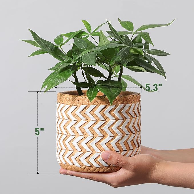 Concrete Rattan-Style Plant Basket Planter, 5" Outdoor Indoor Plant Pots with Drainage Hole, Boho Flower Pot for Succulents, Herbs, Modern Farmhouse Decor, Ideal Gift for Plant Lovers
