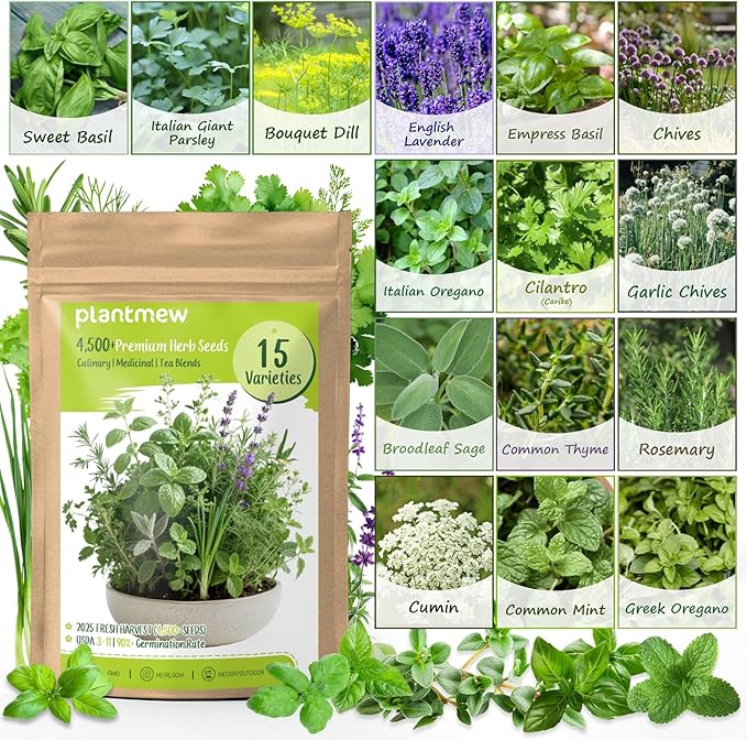 Herb Seeds 15-Pack – 4,500+ Non-GMO Heirloom Seeds for Planting – Indoor & Outdoor Herb Garden Kit with Basil, Cilantro, Rosemary, Thyme, Dill, Sage – Medicinal & Culinary Herb Seeds Variety Pack