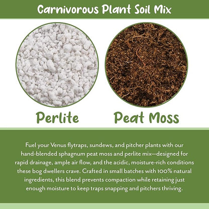 Soil Sunrise Carnivorous Plant Potting Soil Mix (1 Quart) Ideal Additive for Venus Fly Traps, Sundews, and Pitcher Plants