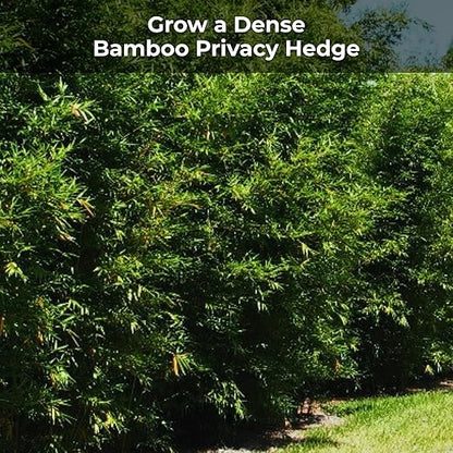 Real Growers Bamboo Special 13-5-11 – 12-Month Slow-Release Fertilizer for Outdoor Clumping Bamboo – 18 lb