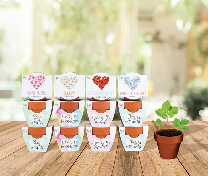 BUZZY Seeds Terracotta Mini Grow Pots Flower Plant Starter Kit – Love Collection Assorted 12-Pack – Indoor DIY Garden Kit – Perfect Wedding Favors, Bridal Shower Gardening Gifts, Valentines