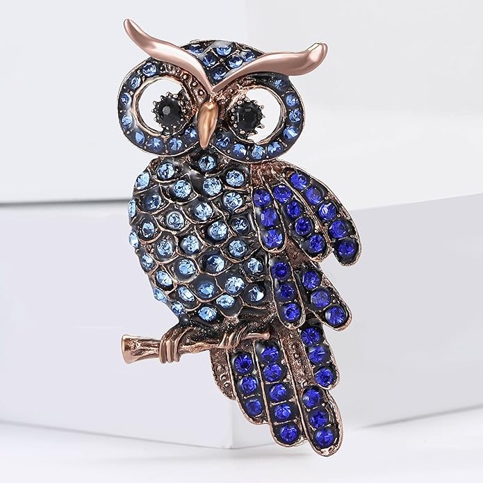Rhinestone Owl Brooch Pin for Women Cute Big Cartoon Cat Eye Stone Owl Bird Brooch Unique Double Owl Brooch Pin Clothes Bag Hat Dress Jewelry