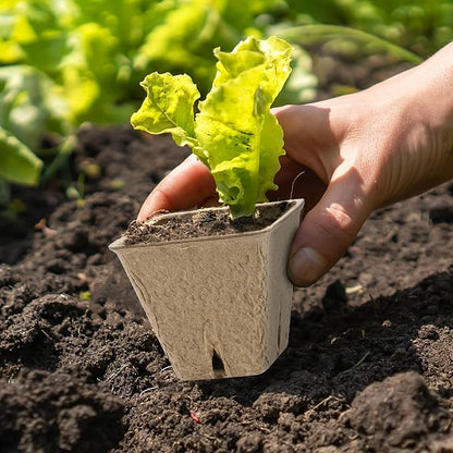 120 Pieces Peat Pots Plant Starters 2.3 Inch Square Peat Pots for Herb Seedlings Garden Germination Nursery Pots Organic Germination Plant Starter with Plant Markers Labels for Plants Supplies