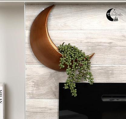 Wall Planter - Window Planter - Hanging Moon Planter - Boho Hanging Planters for Indoor Plants, Succulents, Air Plant, Cactus, Faux, Artificial Plants -Witchy Gifts for Women, Birthdays,Plant Lovers