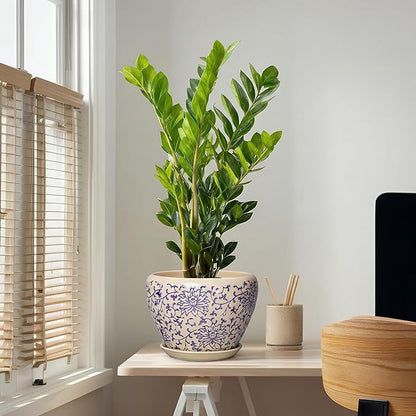 Ceramic Pots for Plants 10 Inch - Indoor Flower Pots with Drainage Hole and Tray, Decorative Pot for Indoor Outdoor Plants, Round Planters, Bathroom Decor, Gifts for Men Women, Retro Blue