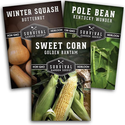 Three Sisters Collection Seed Vault - Non-GMO Heirloom Seeds for Planting Vegetables - Sweetcorn, Butternut Winter Squash & Pole Beans for Growing on Your Homestead - Survival Garden Seeds
