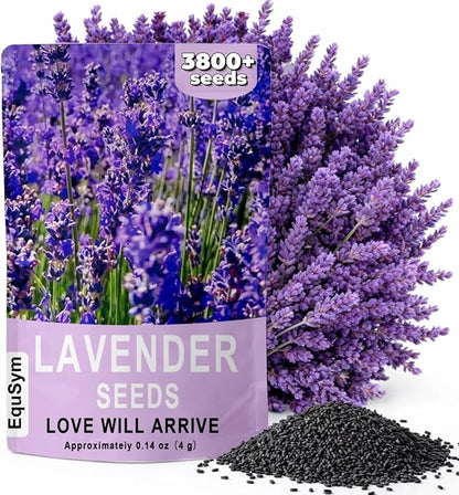 3800+ Lavender Seeds for Planting Outdoor - Non GMO Premium English Lavender Seeds for 2026, Lavender Plants or Dried Flowers, Wildflower Seed, DIY Essential Oils Perfect for Home Gardeners, Gifts