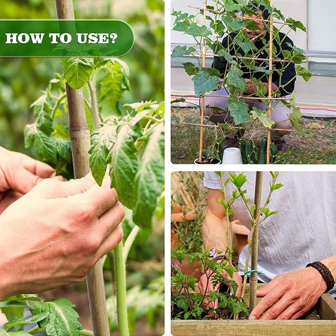 20pcs 5/8" D Thicker Heavy Duty Bamboo Stakes, 6FT Plant Stakes, Natural Garden Stakes for Tomato, Bean, Flowers,Trees Potted and Climbing Plant Support