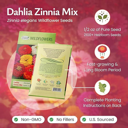 Created By Nature, Dahlia Zinnia Wildflower Seed Mix, Red, Pink, Orange, Yellow, Purple, and White Annual Flower Seeds, 2,125 Wildflower Seeds Bulk for Pollinator Gardens (Zinnia elegans)
