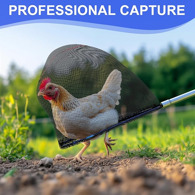 Chicken Catching Net 2 Pcs, Chicken Net for Chicken Supplies, Stainless Steel Poultry Catcher for Catching Small Chicken, Goose, Ducks, Fish, Birds(2 Nets, 1 Pole Included