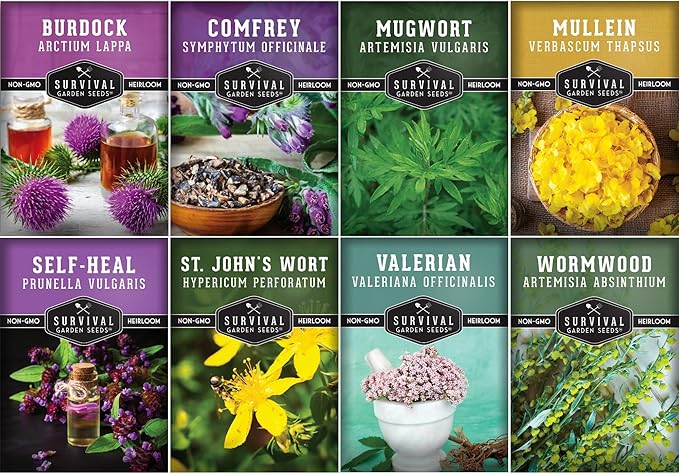 Advanced Medicinal Herb Seeds Collection – Variety Pack for Planting with Mullein, St John’s Wort, Valerian, Mugwort – Heirloom Apothecary Herbalist Seed Bundle - Survival Garden Seeds