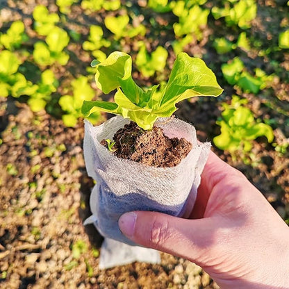 TIHOOD 300PCS 3.9"x4.7" Plant Nursery Bags,Non-Woven Plant Seeding Grow Bags, Vegetables Fabric Seedling Bag Pots Planting Transplant Grow Pouch Home Garden Supply White