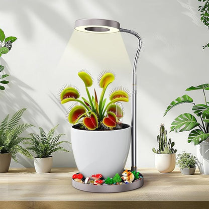Venus Fly Trap Terrarium,Butterwort Plant Live Pot,Not Live Plant, Keeps Potted Soil Moist Makes a Great Gift Choice, Home Office Decor (White)