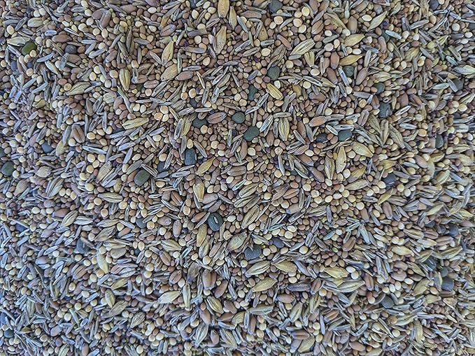 Premium Chicken Poultry Pasture Forage and Fodder Seeds (5-lb. Bag) - [33% Each: Clovers, Supplemental, Grains]
