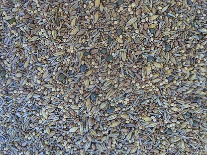 Premium Chicken Poultry Pasture Forage and Fodder Seeds (5-lb. Bag) - [33% Each: Clovers, Supplemental, Grains]