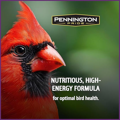 Pennington Pride Songbird Nut & Fruit Blend, Wild Bird Seed for Outside Feeders, Advanced Nutrition Formula for Health, Bird Food, 10-lb. Bag