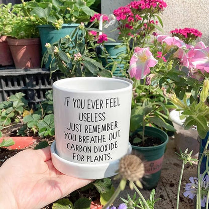 Cute Succulent Pots for Office - If You Ever Feel Useless Just Remember You Breathe Out Carbon Dioxide for Plants, Cute Plant Pots Desk Planter, Funny Pot for Plant