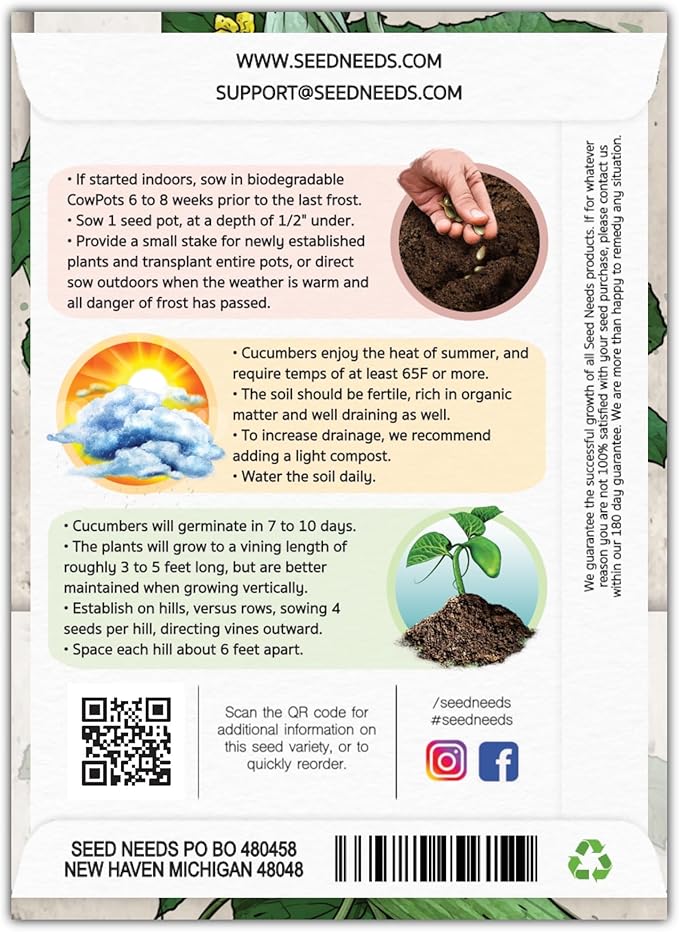 Seed Needs Cucumber Seeds for Planting Armenian Yard Long Cucumbers - Heirloom Non-GMO & Untreated - Snake Melon/Serpent Cucumber to Plant a Home Grown Outdoor Vegetable Garden (1 Pack)