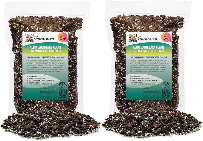 GARDENERA Albo Variegata Potting Mix - Enhances Drainage and Prevents Root Rot - 10 Quart (2 Bags of 5 Quart)