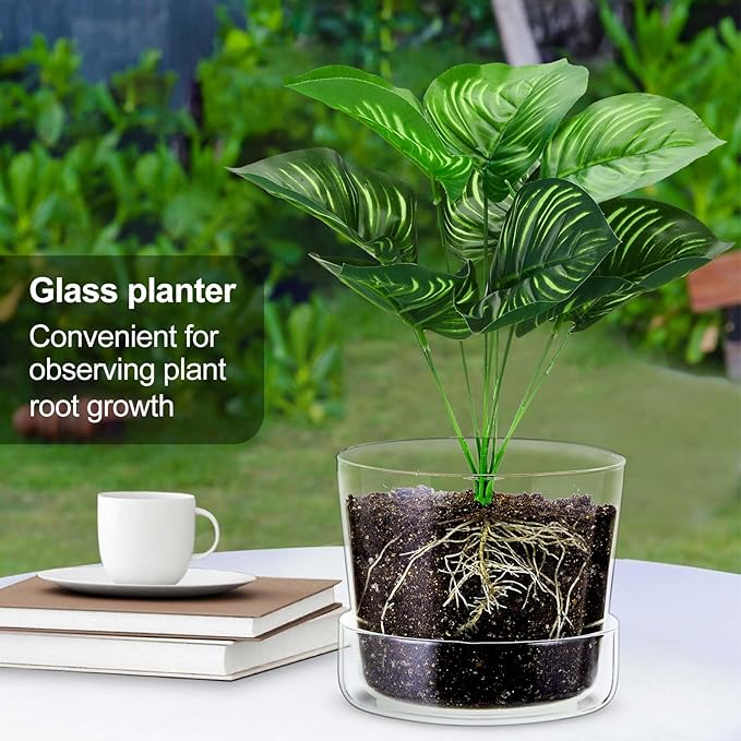 2 Sets 6 Inch Glass Planter with Drainage Hole and Tray Indoor Clear Plant Pots with Saucer Modern Decorative Orchid Glass Pot for Outdoor Flower Plants