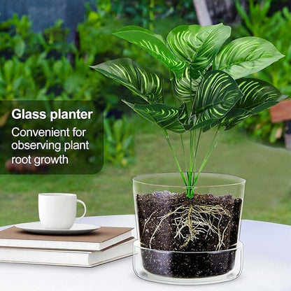 2 Sets 6 Inch Glass Planter with Drainage Hole and Tray Indoor Clear Plant Pots with Saucer Modern Decorative Orchid Glass Pot for Outdoor Flower Plants