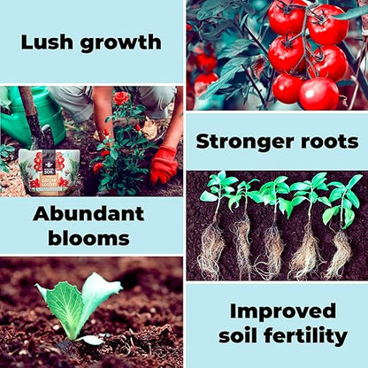 All Purpose Plant Food - Grow Goodies, High-Performance Fertilizer, Triple 16 NPK + Organic Superfoods and Micronutrients (Roses, Vegetables, Orchids, Tomatoes, Gardens, 1LB)