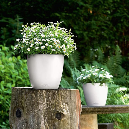 Lechuza 13210 Classico 35 Self-Watering Planter for Indoor and Outdoor Use, 14" x 14" x 13", White Matte
