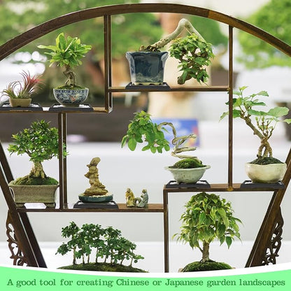 Pinkunn 2 Pcs Bonsai Humidity Tray Rectangular Drip Tray Plastic Plant Water Catcher Plant Saucers for Indoors and Outdoors Cactus,Succulents,Bonsai Tree,Stone Not Included (7.8 x 5.5 Inch)