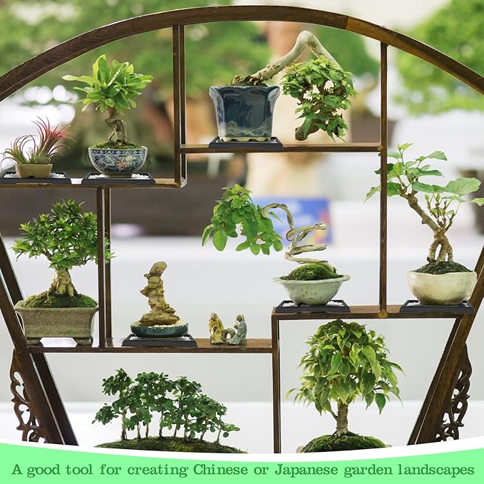 Pinkunn 6 Pcs Bonsai Humidity Tray Rectangular Drip Tray Plastic Plant Water Catcher Plant Saucers for Indoors and Outdoors Cactus,Succulents,Bonsai Tree,Stone Not Included (7.8 x 5.5 Inch)