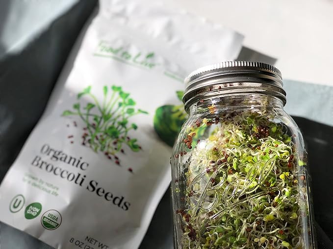 Food to Live Organic Broccoli Seeds for Sprouting, 8 Pounds – Non-GMO, Vegan, Kosher, Sirtfood, Bulk. Rich in Sulforaphane, Vitamin C. Grow Sprouts, Microgreens for Salads, and Sandwiches
