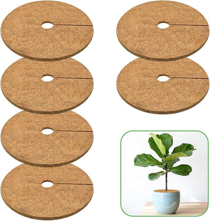 ZeeDix 6 Pack Coconut Fiber Mulch Ring, 11.8 Inch Coco Coir Tree Ring Mulch Mat, 100% Natural Tree Protector Mat Plant Cover Ring Coconut Coir Discs Tree Mats Mulch Rings for Indoor Outdoor Plants