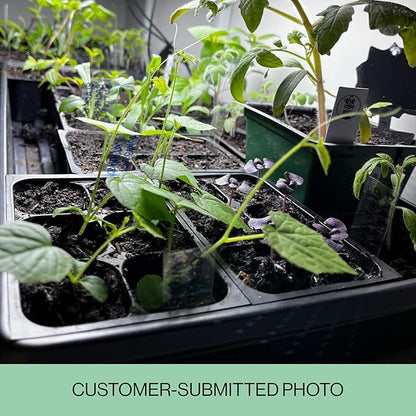 The Hydroponic City Seed Starter Trays, 216-Cell Seedling Starter Trays (36 Trays - 6 Cells Each) + Plant Stakes