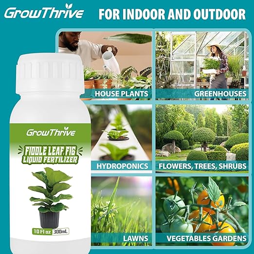 10oz Fiddle Leaf Fig Plant Food for All Fig and Other Ficus Trees, Liquid Houseplant Fertilizer for Ficus Plants, Ideal Fiddle Leaf Fertilizer, Ficus Plant Food for Improves Leaves and Branches