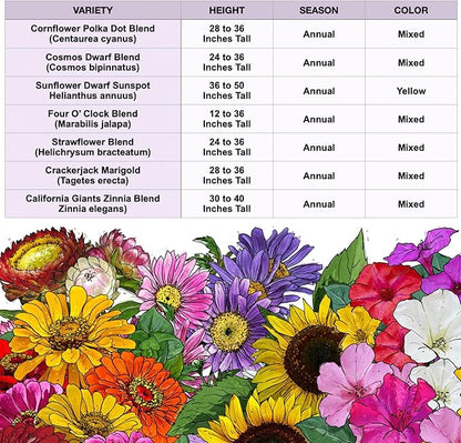 Seed Needs Garden Flower Seeds Large Blooms Mix Hummingbird and Butterfly | 1 Ounce No Filler 7 Varieties Open Pollinated | Resealable Package Live Wild Flower Seed | Bulk
