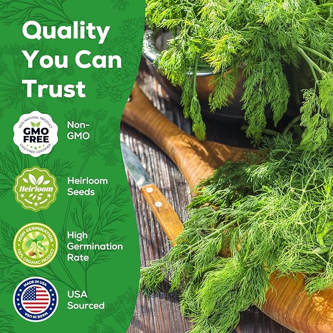 Bouquet Dill Seeds for Planting - 500+ Heirloom, Non-GMO Seeds - Herb Seeds Packet for Plating Home Garden, Herb Garden - Indoor/Outdoor, Easy to Grow