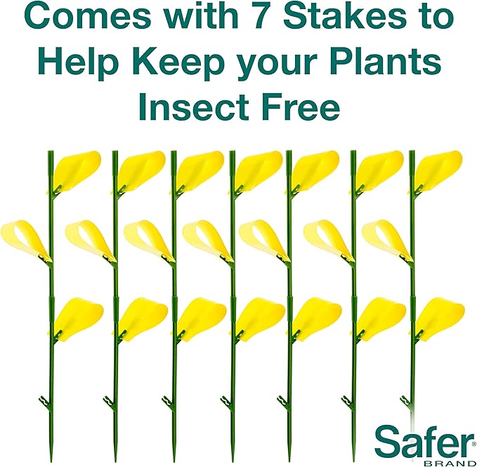 Safer Brand 5026 Houseplant Sticky Stake Insect Traps for Indoor Plants - Controls Fungus Gnats, Whiteflies, Midges, Thrips, Fruit Flies, and Black Flies - 1 Pack, 7 Traps