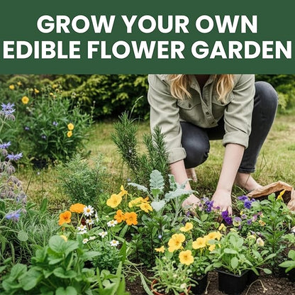 Edible Flower Seeds | 10 Individual Packs | 2026 Season | Non-GMO | Calendula, Chamomile, Nasturtium, Viola & More! | for Planting Indoor & Outdoor | by Family Sown