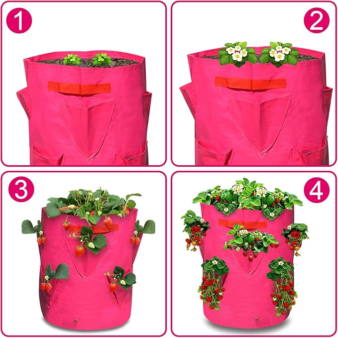 Strong Camel 11 Gallon Plant Pots Strawberry Grow Bags Garden Planter Bag for Potato Tomato Vegetables (3 Pack)