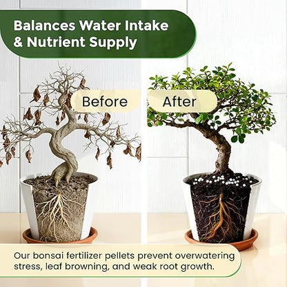 Leaves and Soul Bonsai Fertilizer Pellets |18-6-8 Slow Release Pellets for Seedlings, Mature Plants, All Tree Types | Multi-Purpose Blend & Gardening Supplies, No Fillers | 5.2 oz Resealable Packaging
