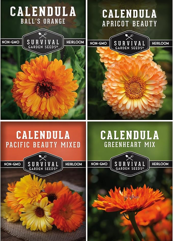 Calendula Seeds for Planting – 4 Pack Mix | Pacific Beauty, Apricot Beauty, Balls Orange, Greenheart – Heirloom Pot Marigold – Medicinal Herb, Pollinator Flowers – Survival Garden Seeds